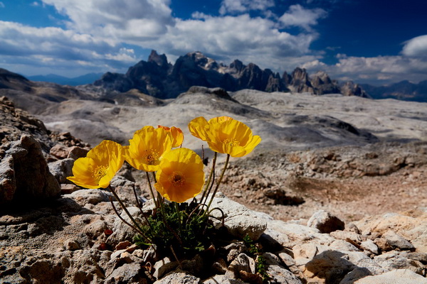 Bilderauswahl zur Ausstellung