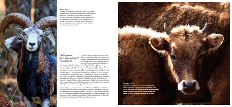 Martin Sinzinger - Schönheit entdecken