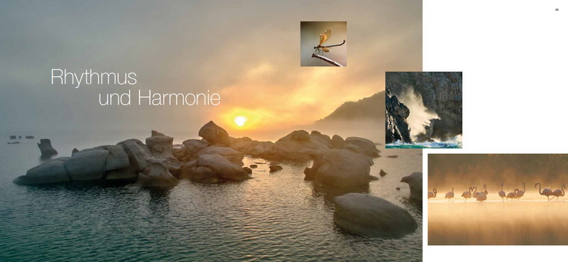 Martin Sinzinger - Schönheit entdecken