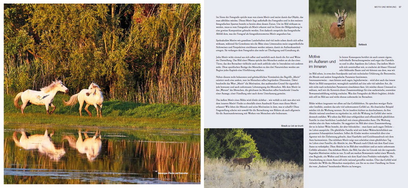 Martin Sinzinger - Schönheit entdecken