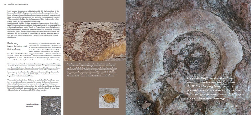 Martin Sinzinger - Schönheit entdecken