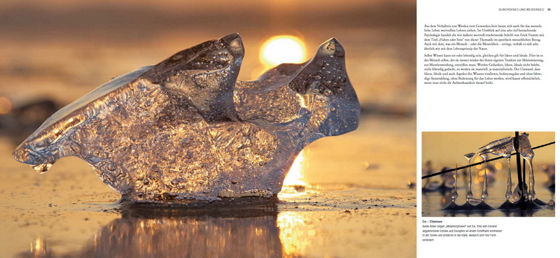 Martin Sinzinger - Schönheit entdecken