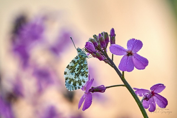 Bilderauswahl zur Ausstellung