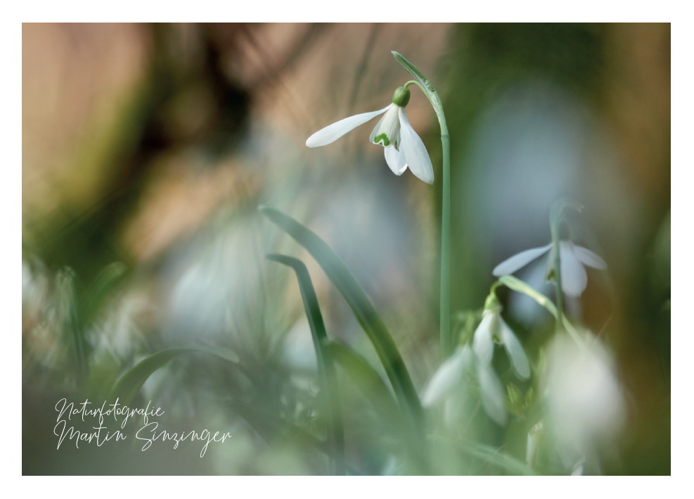Postkarten Naturfotografie