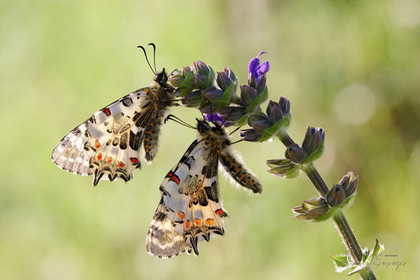 Bilderauswahl zur Ausstellung